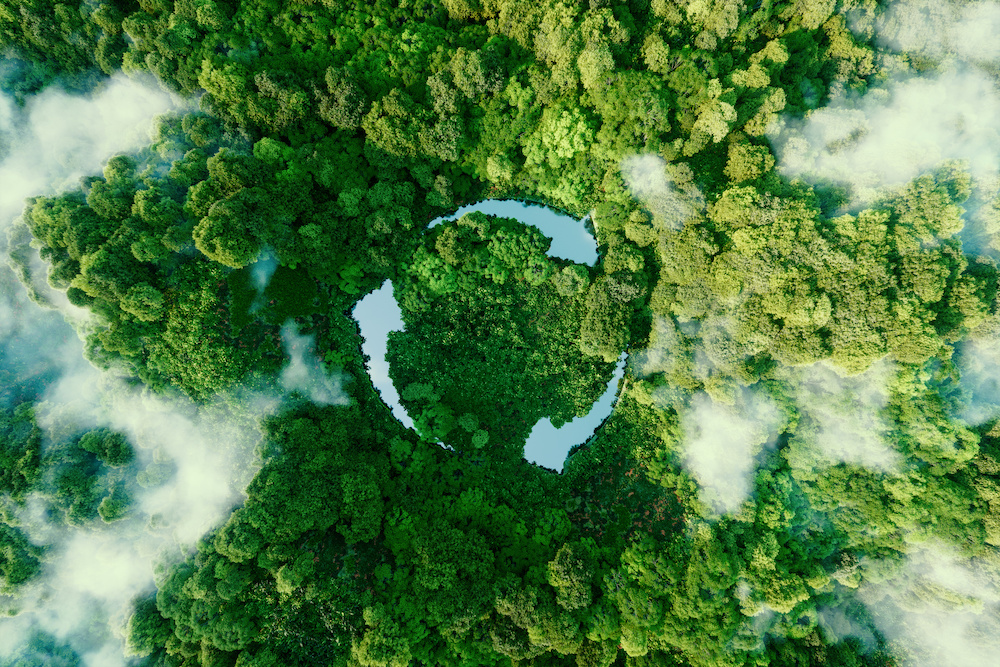 A graphic of an aerial view of a rainforest and a pond in the shape of a recycling symbol in the middle.