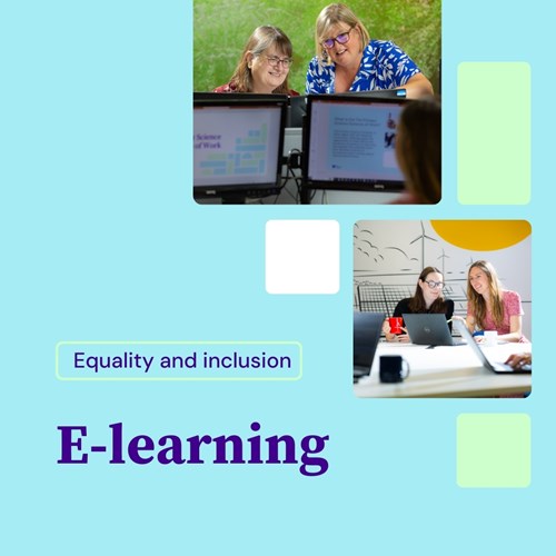 Collage of two images featuring women collaborating on computers in bright settings. Text reads 'Equality and inclusion E-learning' on a light blue background.