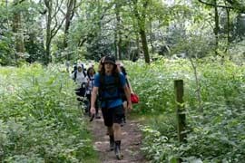 Four DofE students walking through woodland where everything is green and lush. They are all wearing outdoor clothing and have large heavy looking rucksacks on their backs