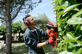Young Man Gardener Trimming Hedgerow In Park Outdoor